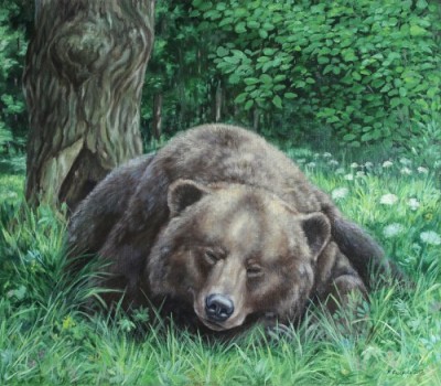 picture Марина Ефремова: Сон (Бурый медведь). 2013. Холст, масло. 70х80