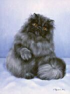 Персидский кот Пася