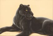 picture Марина Ефремова: Черный ягуар - II