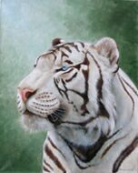 picture Марина Ефремова: Портрет тигра - II