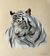 picture Марина Ефремова: Портрет тигра - III
