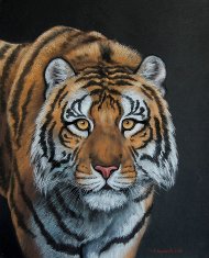 Марина Ефремова. Картина Тигр на чёрном фоне. 2009. Бумага, пастель 58х44