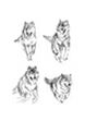 picture Марина Ефремова: Проект Sapere Aude - Бегущие волки (Йеллоустонский парк, США)